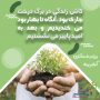 طرح عکس نوشته درختکاری
