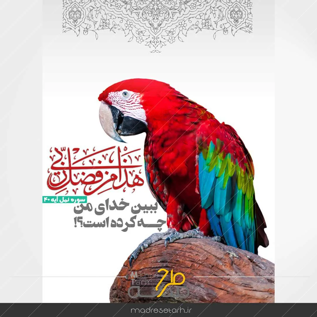 عکس نوشته عجایب مخلوقات