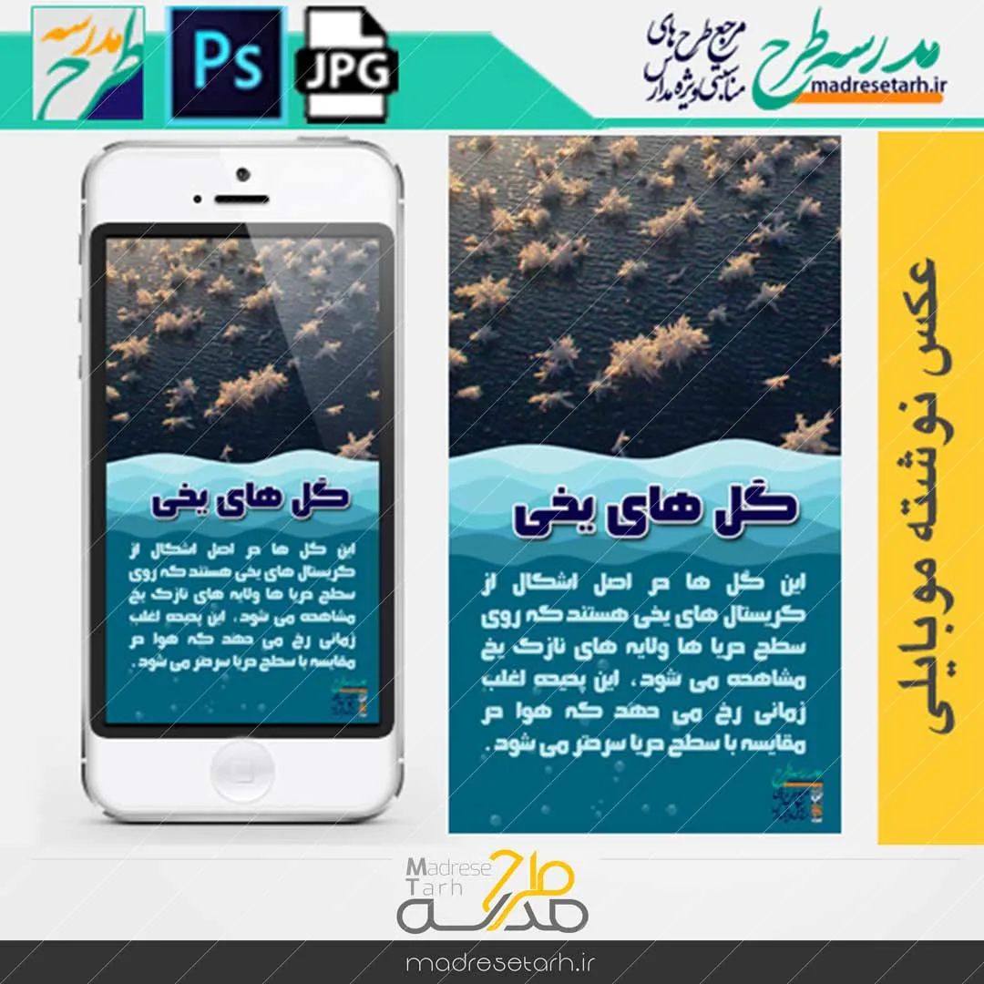 شگفتی آفرینش گل های یخی