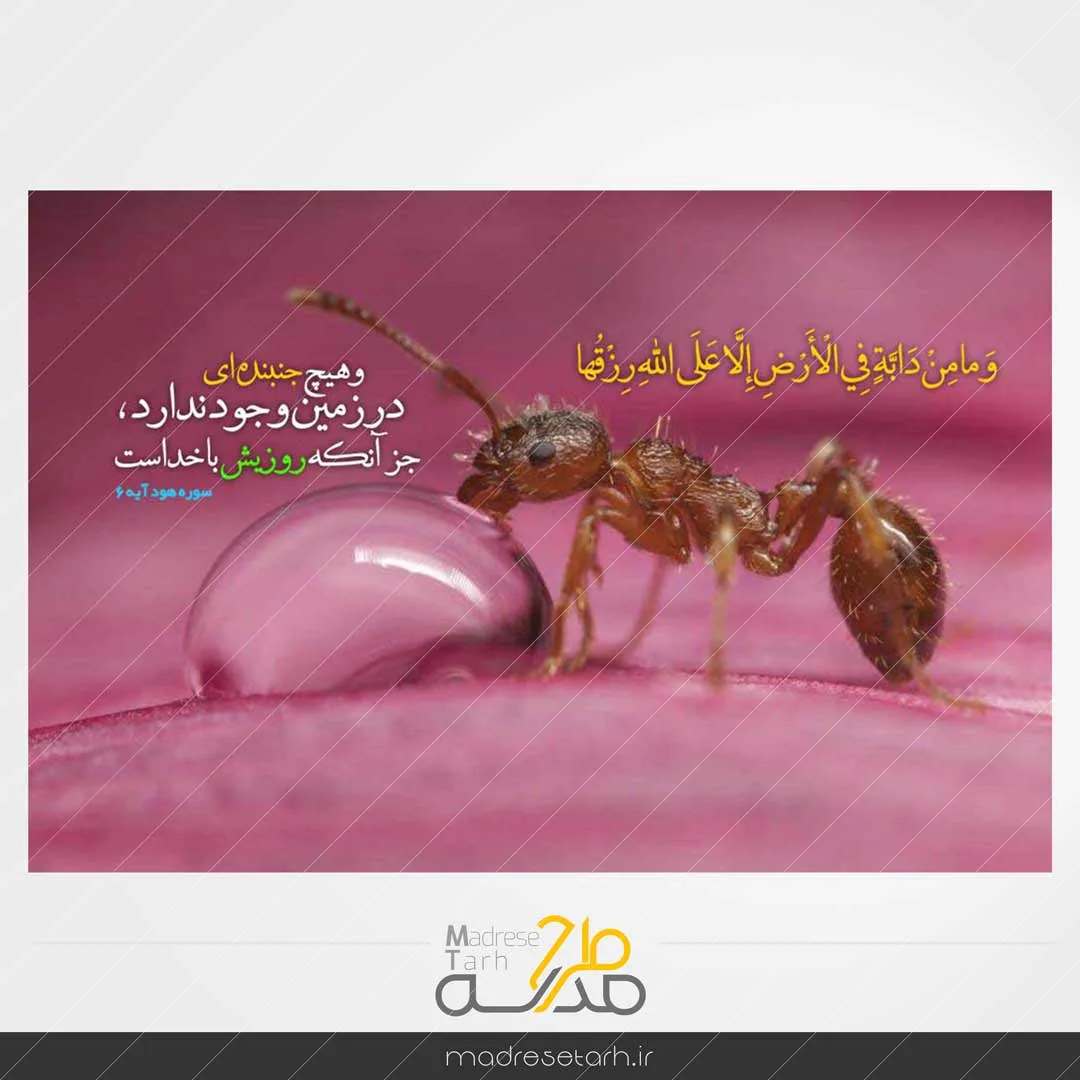 عکس نوشته مفهومی مورچه