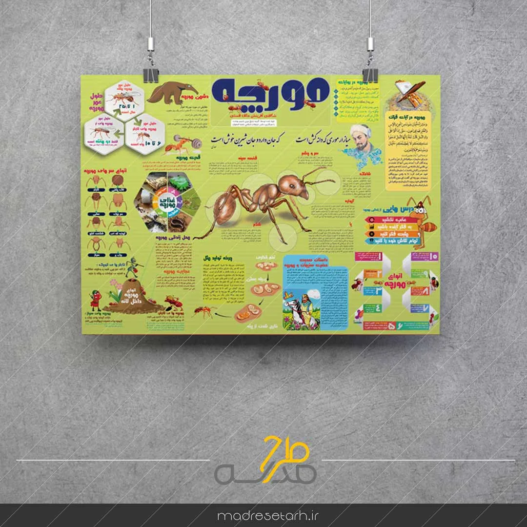 اینفوگرافیک مورچه